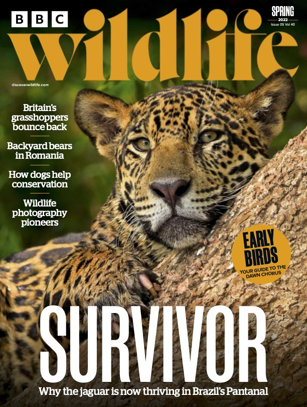 BBC Wildlife Magazine Spring 2022 docutr.com