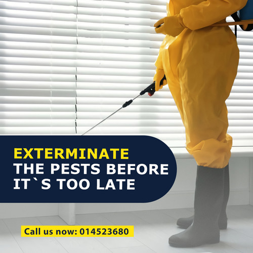 Premier pest cleaner - Pest Control Company in Dublin.jpg