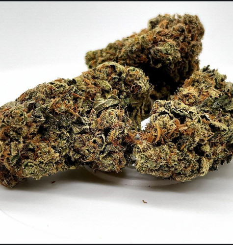 Jack Herer Inspiration.jpg