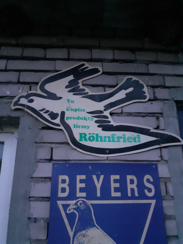 IMG 20220722 115613.jpg