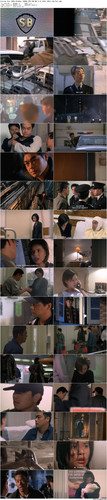 Loving.You.1995.BluRay.1080p.DTS HD.MA.2.0.x265.10bit BeiTai preview.jpg