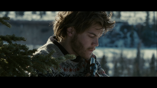 Into.the.Wild.2007.BluRay.REMUX.1080p.AVC.DTS HD.MA5.1 HDS.mkv 20220910 003558.362.png