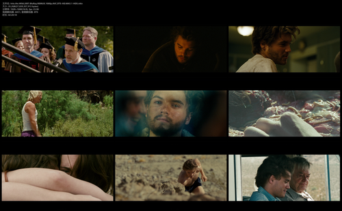 Into.the.Wild.2007.BluRay.REMUX.1080p.AVC.DTS HD.MA5.1 HDS.mkv.png