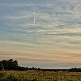 IMG 2 Aug 19 2022