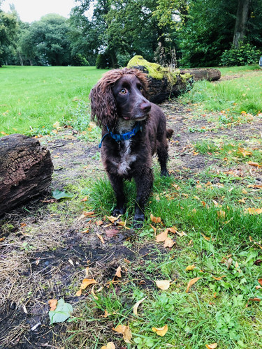 F2D65B9D C364 4D06 A149 2FC10DD48CE1.jpg