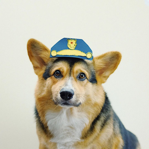 274637559 275178981361800 5120967682863689273 n.jpg