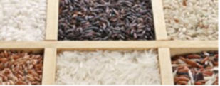 rice.png