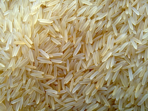 1121 golden basmati rice.jpg