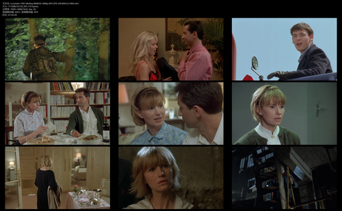 La.totale!.1991.BluRay.REMUX.1080p.AVC.DTS HD.MA2.0 HDS.mkv.png