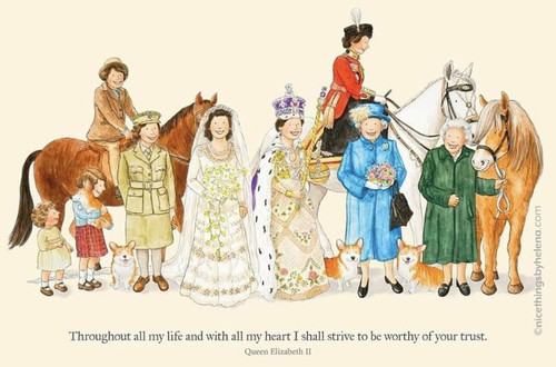 3C7904EB 43CF 4CC4 9A26 077EBC485538.jpg