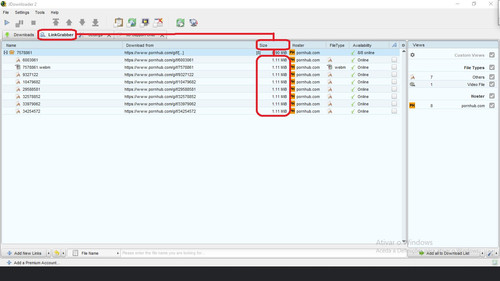 HOST pornhub.com Wrong File Size.jpg