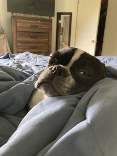 67622748822 1E51F002 E485 440B 8226 5CDEC9CD4331.jpg