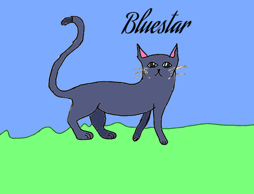 Screenshot 2022 09 10 3.10.13 PM.png