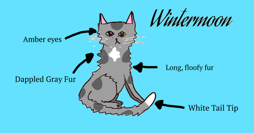 Screenshot 2022 09 10 5.02.40 PM.png