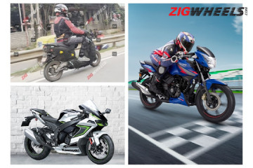 zig 360X240(386).jpg