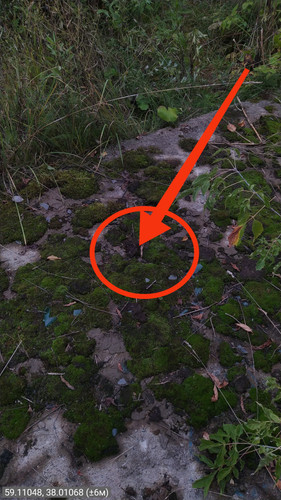 IMG 20220910 085245.jpg