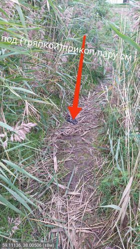 IMG 20220910 085652.jpg