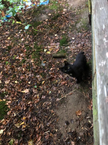 IMG 20220908 WA0019.jpg