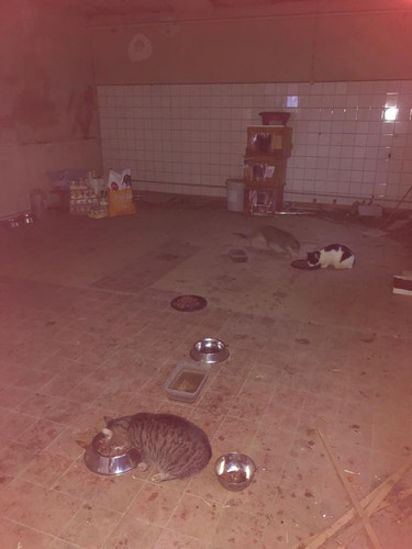 IMG 20220908 WA0024.jpg