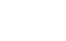 dss.png