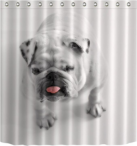 61bKeUTV6TL. AC SX679 .jpg