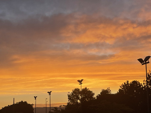 511E4D0A 0459 4356 B2EA DED5809FB1BA.jpg