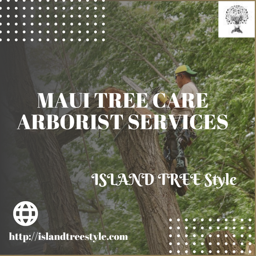 maui tree care arborist services (1).png
