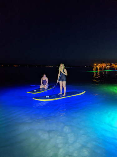 PXL 20220913 175835635.NIGHT.jpg