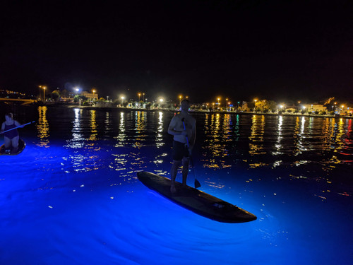 PXL 20220913 183847007.NIGHT.jpg