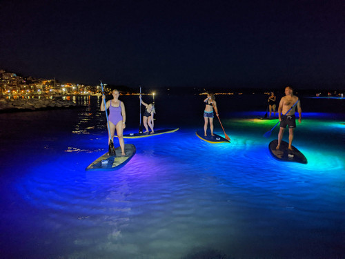 PXL 20220913 175713778.NIGHT.jpg