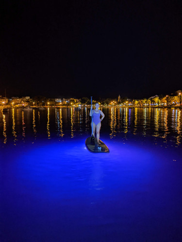 PXL 20220913 190823876.NIGHT.jpg