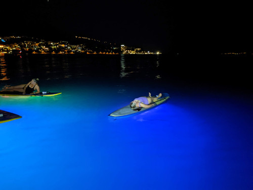 PXL 20220913 185142038.NIGHT.jpg