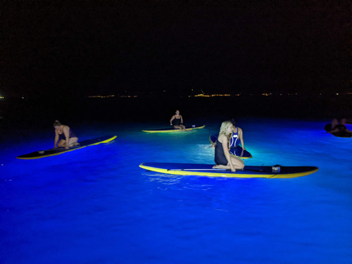 PXL 20220913 184817955.jpg