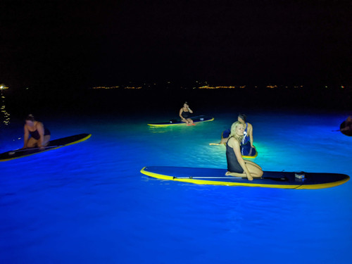 PXL 20220913 184821706.NIGHT.jpg