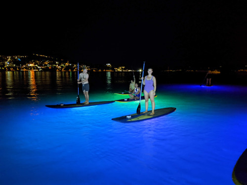 PXL 20220913 190015383.NIGHT.jpg