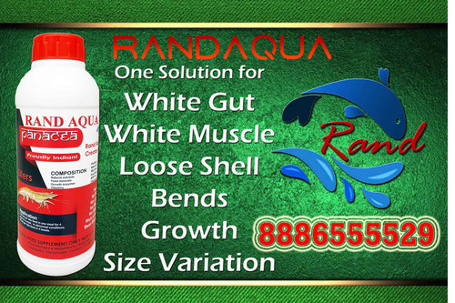 RandAqua Panacea 3.jpg