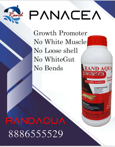 RandAqua Panacea 2 copy.jpg