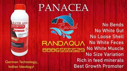 RandAqua Panacea 5.jpg