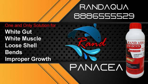 Panacea RandAqua 2.jpg