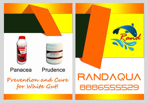 RandAqua Panacea and Prudence.jpg