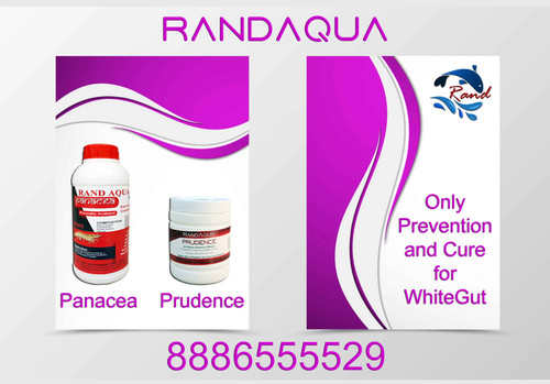 WhiteGut solution RandAqua.jpg