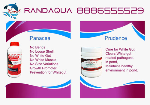 RandAqua Prudence and Panacea.jpg