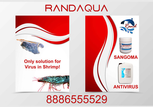 Virus solution RandAqua.jpg