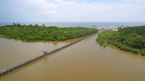 Dermaga Teluk Mangrove Ujung Pandaran