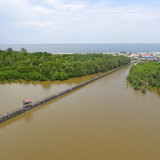 Dermaga Teluk Mangrove Ujung Pandaran