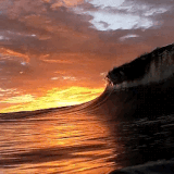 3AD2AC3E 2319 4161 8594 85725BA85BEF.gif