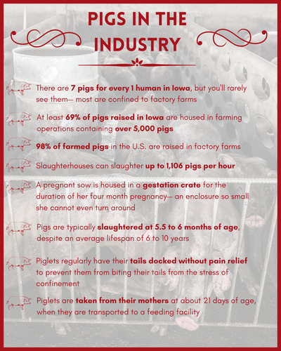 Pigs in the Industry.png