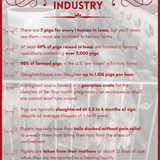 Pigs in the Industry