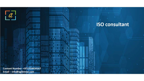 ISO consultant 1.jpg