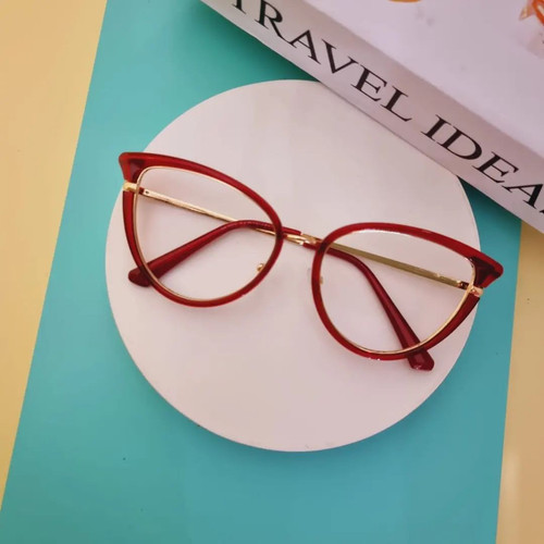 optikthamringatsu 291854499 5157681120997696 7449532427411261195 n.jpg